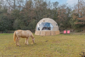 La Cabane aux Chevaux